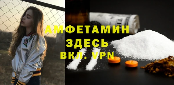 шишки Гусь-Хрустальный