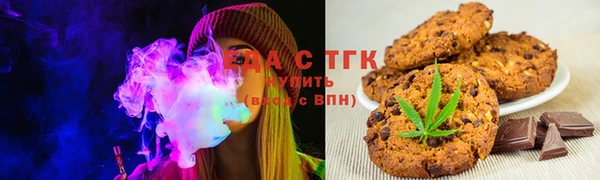 шишки Гусь-Хрустальный