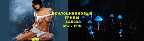 шишки Гусь-Хрустальный
