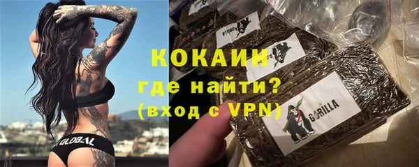 мет Гусев