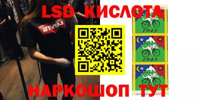 шишки Абакан