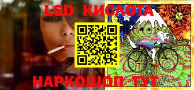 шишки Абакан