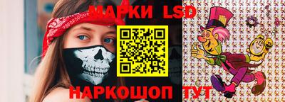 шишки Абакан