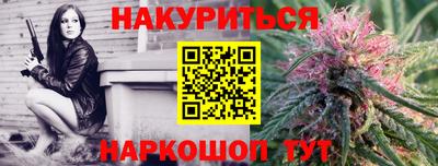 шишки Абакан