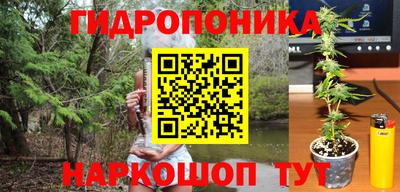 тгк Ипатово