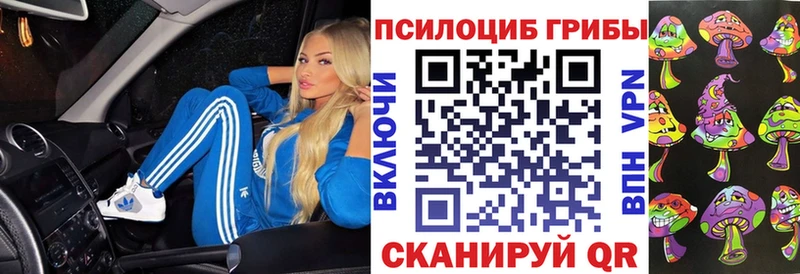 Псилоцибиновые грибы GOLDEN TEACHER  Медногорск 