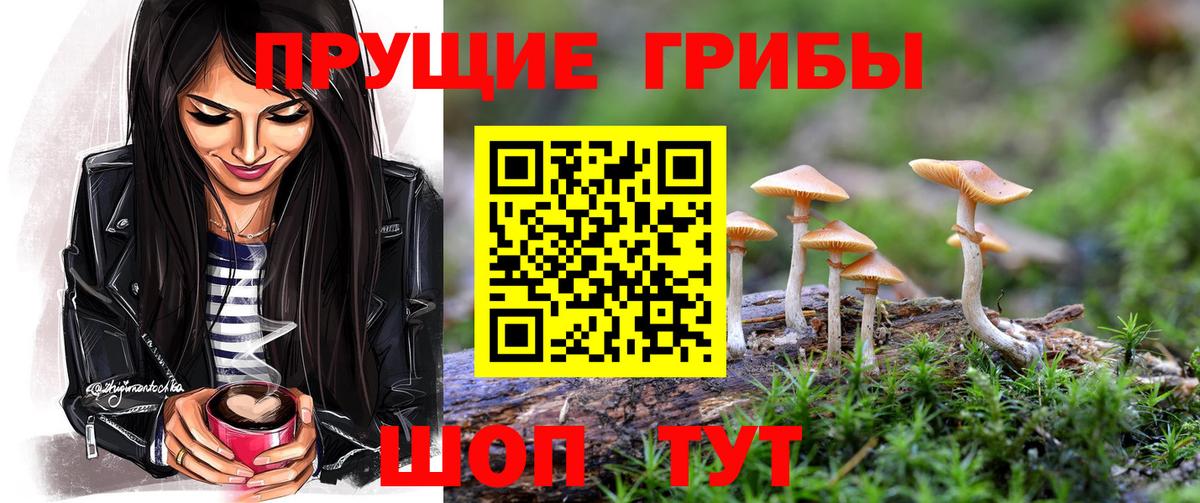 Псилоцибиновые грибы Psilocybine cubensis  Медногорск  Галлюциногенные грибы MAGIC MUSHROOMS 