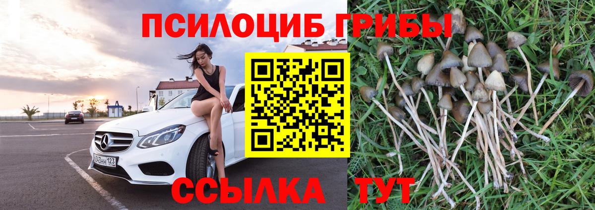 Медногорск  Галлюциногенные грибы Cubensis  Галлюциногенные грибы мицелий  Вход с VPN 