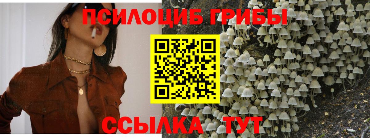 ГАШ  Медногорск  Где купить  МЕТ  XTC  Вход с VPN  Кодеин  Кокаин  Бошки Шишки  Альфа ПВП  Мяу-Мяу  МДМА 